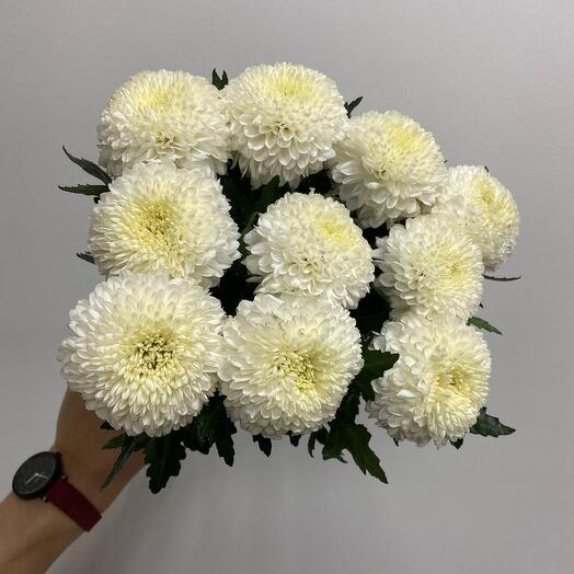 Букет из белой момоки