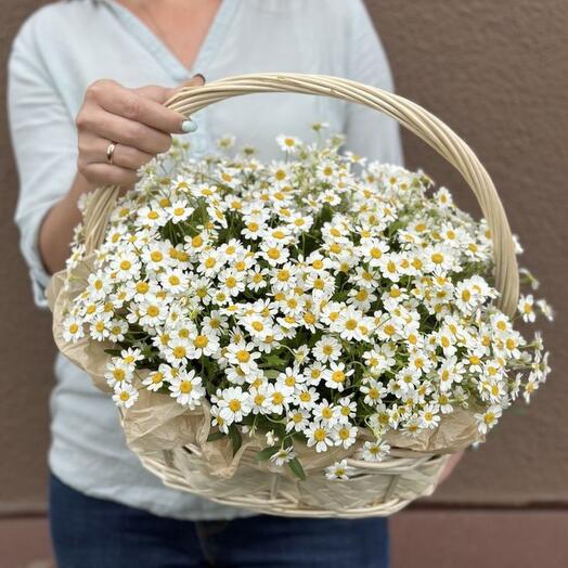 Корзина с ромашкой