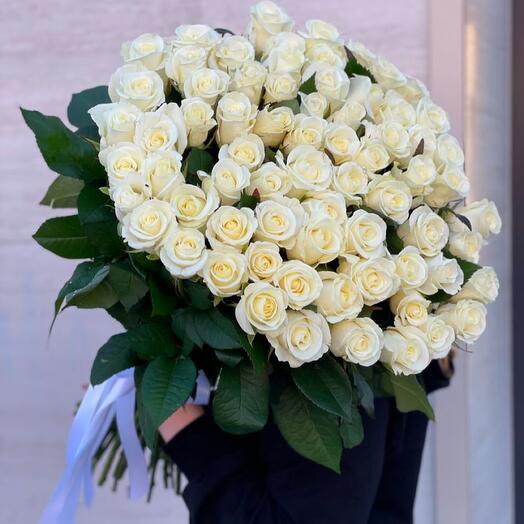 White roses 71 pcs Holland