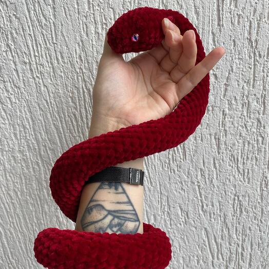 The snake