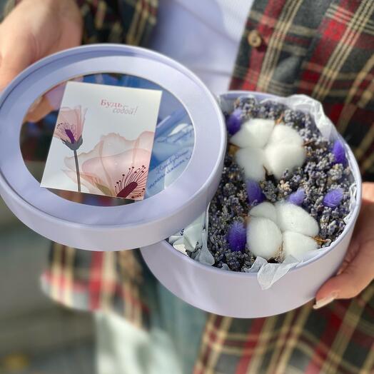 Lavender Field s