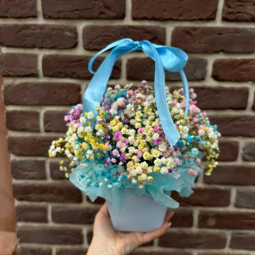 Rainbow in the handbag