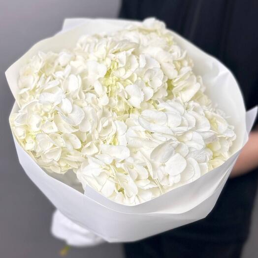 Ramo de Hortensias blancas como la nieve "Soufflé"
