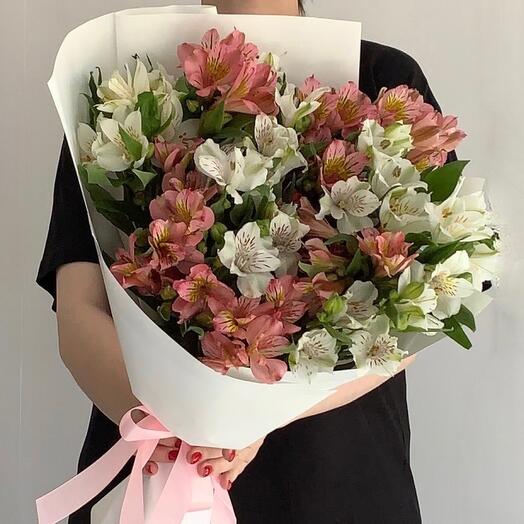 Альстромерия моно 😍 15 шт