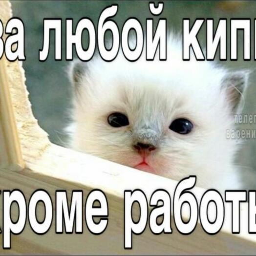 Медленная смена фото