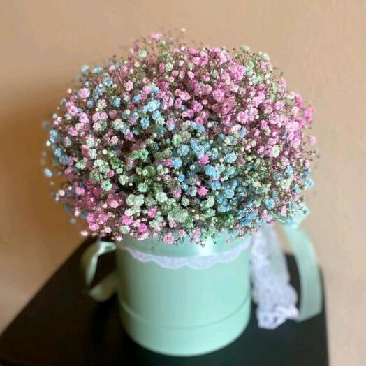 Flowers in a box, rainbow splashes, bright gypsophila for a great mood