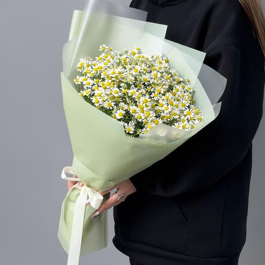 Букет ромашек (FW0057)