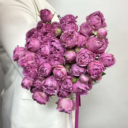 Purple roses