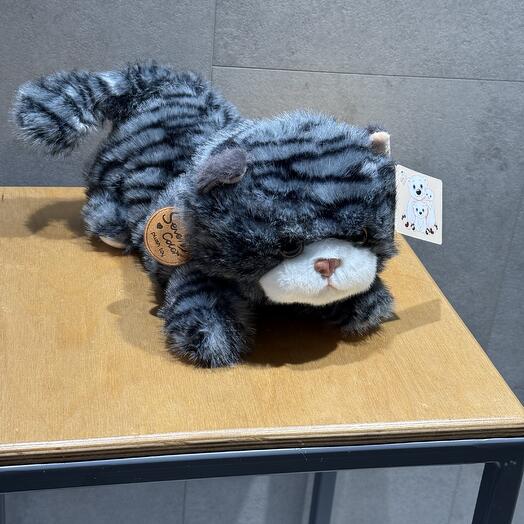 Мягкий котик