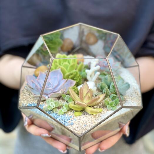 Florarium dodecahedron medium