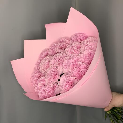 Розовые диантусы 17