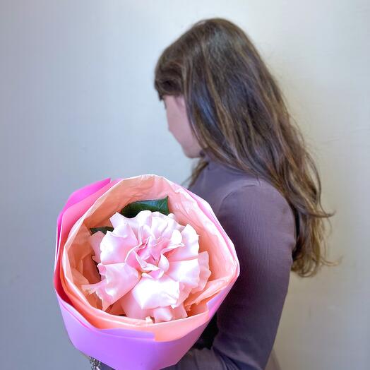 Delicate French rose in a lush package