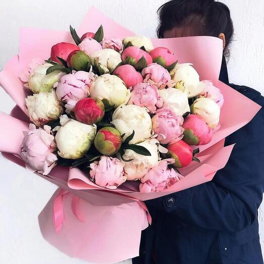 Микс пионов 29 шт