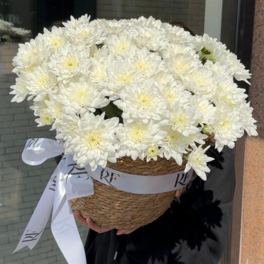 Кашпо m хризантемы