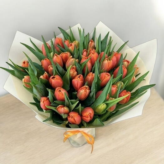 Orange tulips