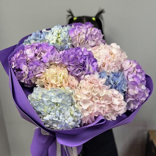 Огромное облако разноцветных гортензий. Букет из 11 гортензий