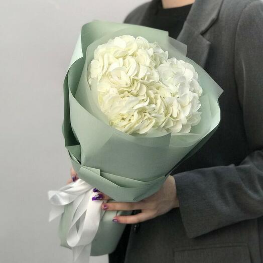 Ramo de hortensias blancas
