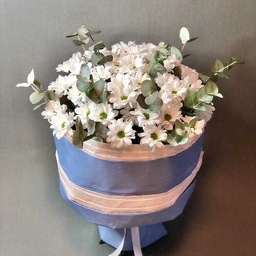 Ромашковый привет