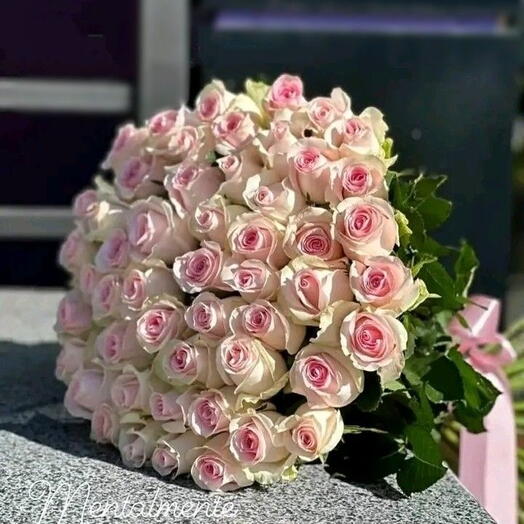 Roses Rose