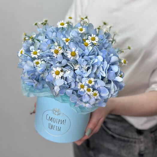 Коробочка с голубой гортензией и ромашками