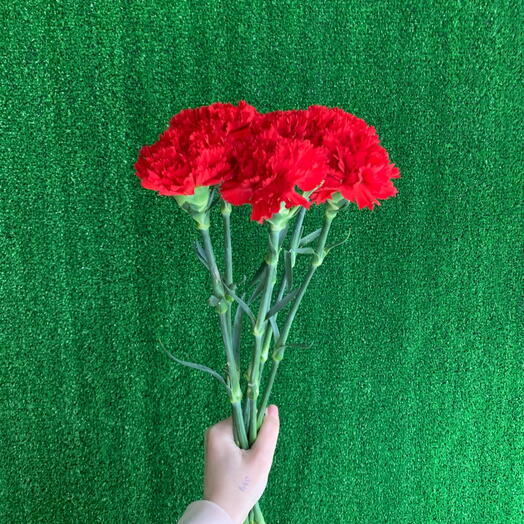 Связка гвоздики