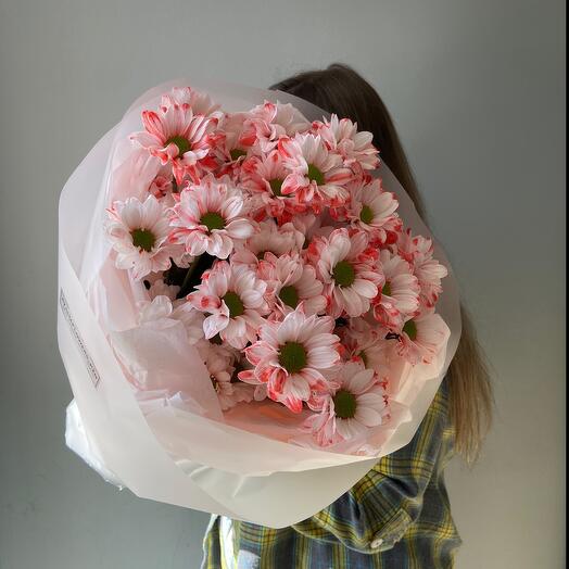 Яркие ромашки 🌸