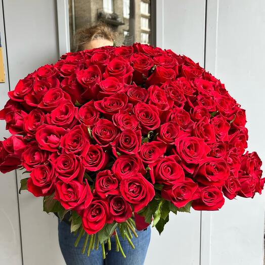 Розы 101 штука 60 см Бордовые
