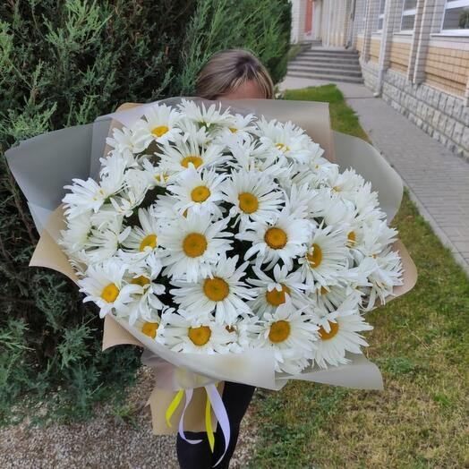 Букет из 41 ромашки