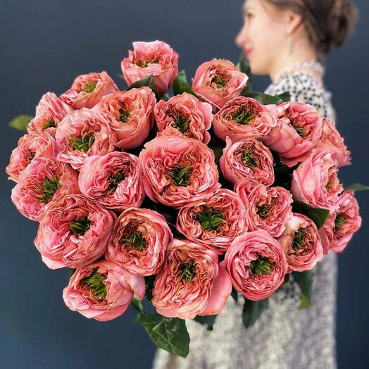 Розы Эквадор 25 шт
