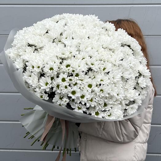 Моно из 49 хризантем