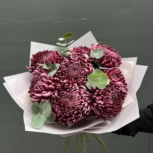 Монобукет из Хризантем и Эвкалиптом