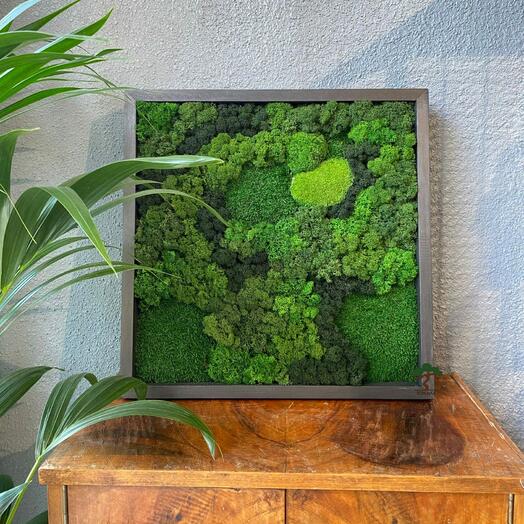 Картина "Forest" в подарочной упаковке, 50*50 см
