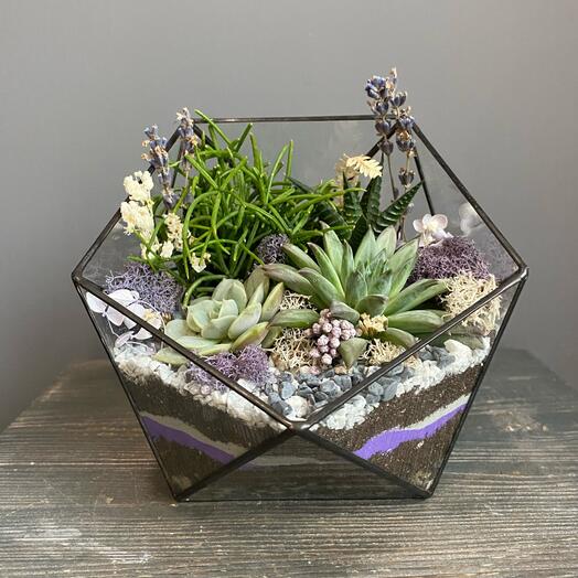 Флорариум «Purple»