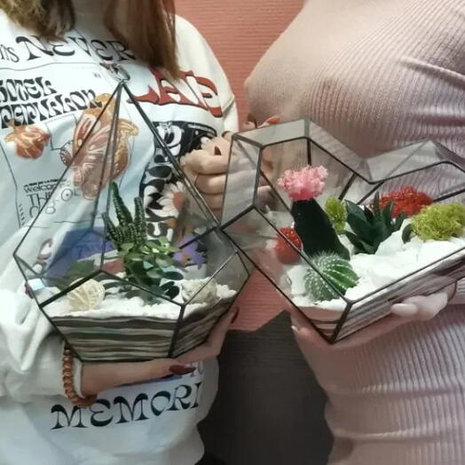 Подарочный сертификат «Мастер класс по созданию флорариума» (Программа 1, 1 человек)