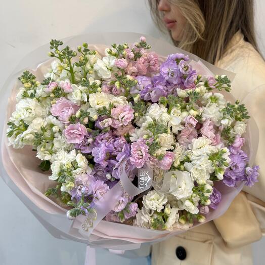 Ароматная  Кустовая Маттиола