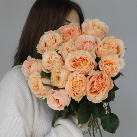 15 пионовидных роз Princess Crown