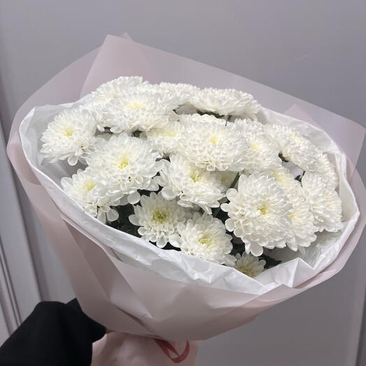 Бeлоснежное облако