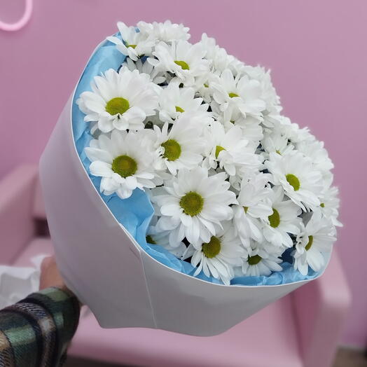 Ромашки 7