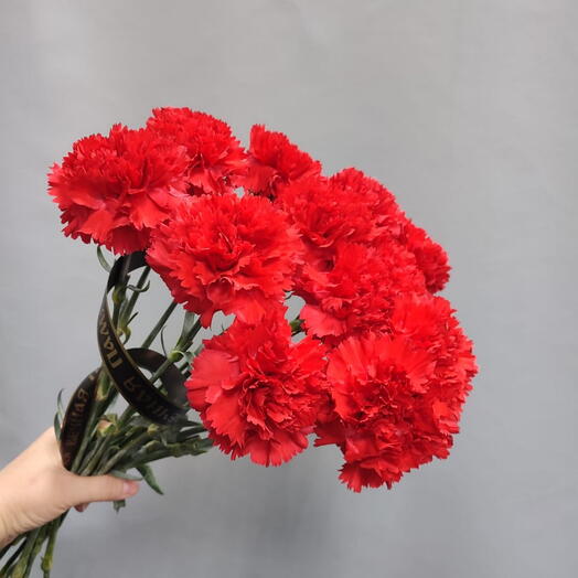 12 красных гвоздик