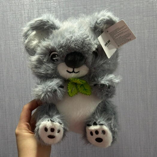 Коала