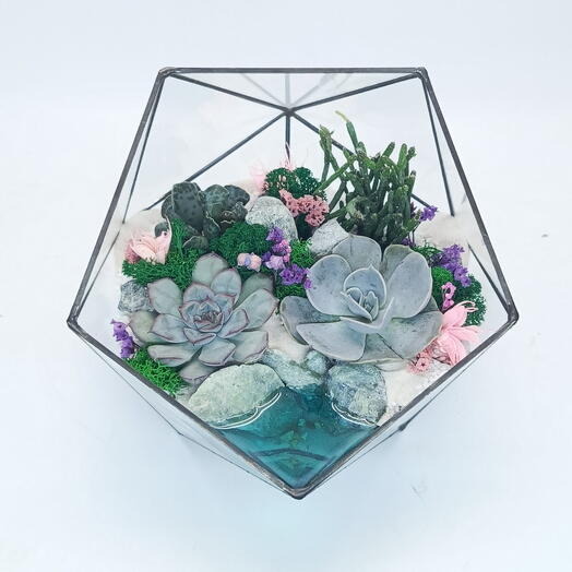 Florarium con suculentas "ternura de Terciopelo" con lago Icosaedro 18cm