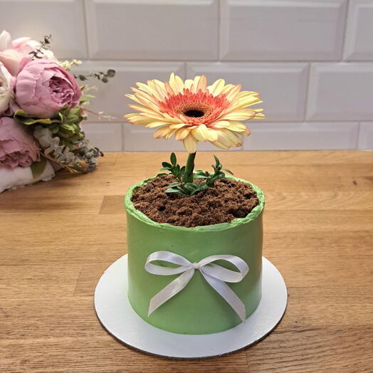 Торт Цветок в горшке 1кг. В подарок маме, бабушке, жене, девушке, подруге, коллеге