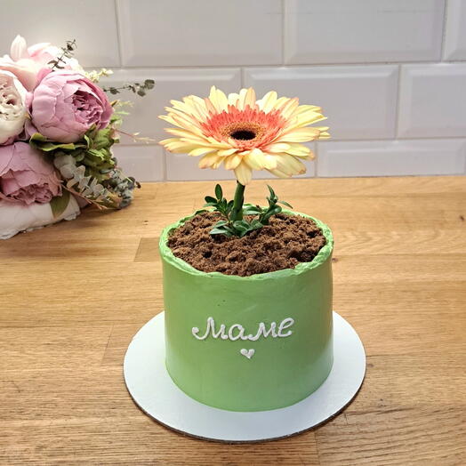Торт Цветок в горшке 1кг. Для мамы,  бабушке, жене,девушке, подруге, коллеге,   к чаю, на 14 февраля