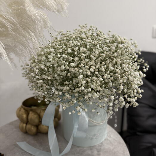 Гипсофила в коробке