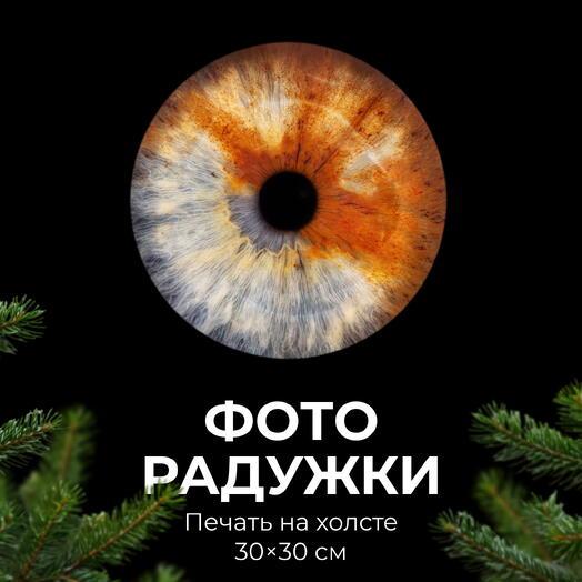 Iris photo + canvas 30*30 cm