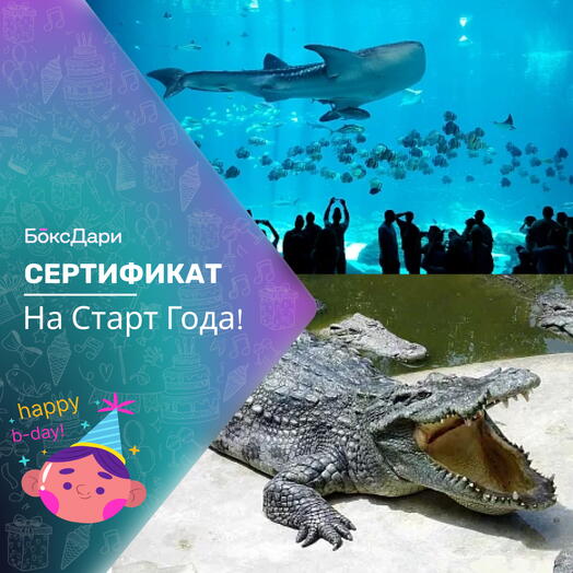 🎀 Подарочный набор «На Старт Года!» 💝