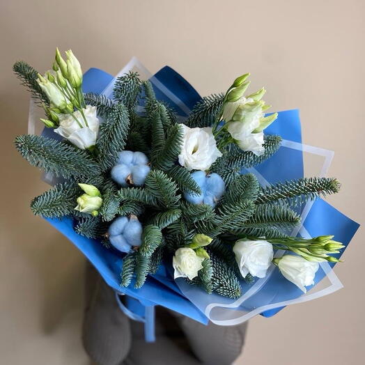 Северное сияние