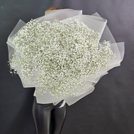 Giant white gypsophila bouquet, 19 stems
