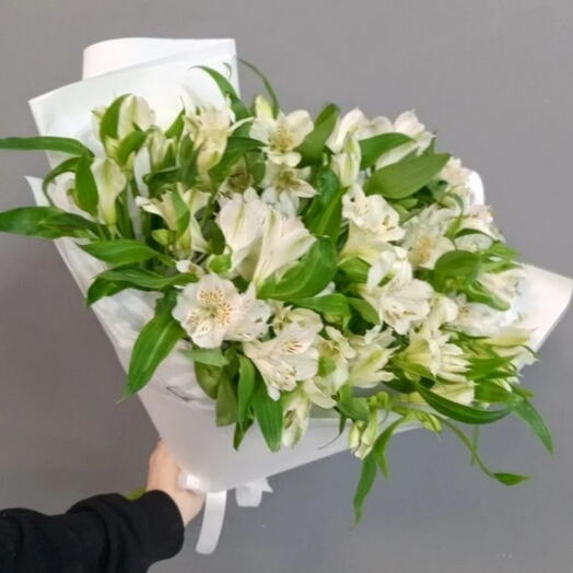 Букет из белых 11 альстромерий