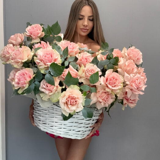 Розовая Франция